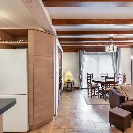 Spacieux Au Centre De Avec Parking Et Cheminee Decorative - Fr-1-569-174 Apartment